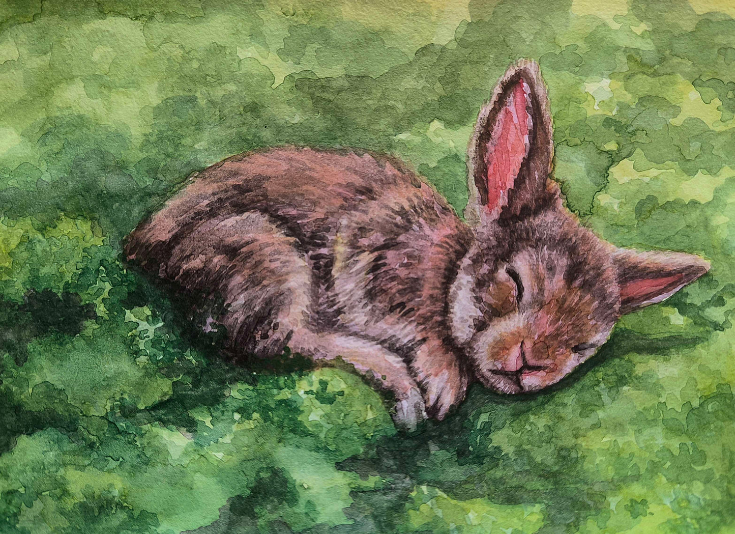 Animal Art Mail: Die monatliche Kunst für Tierliebhaber